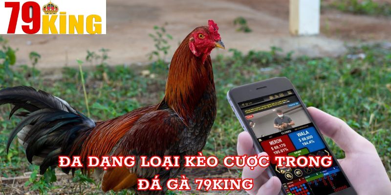 Danh sách các loại hình cá cược hấp dẫn tại đá gà 79King